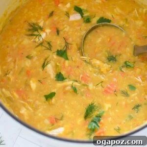Hearty Chicken Lentil Soup 9 Close-up of a flavorful Chicken Lentil Soup, perfectly portioned.