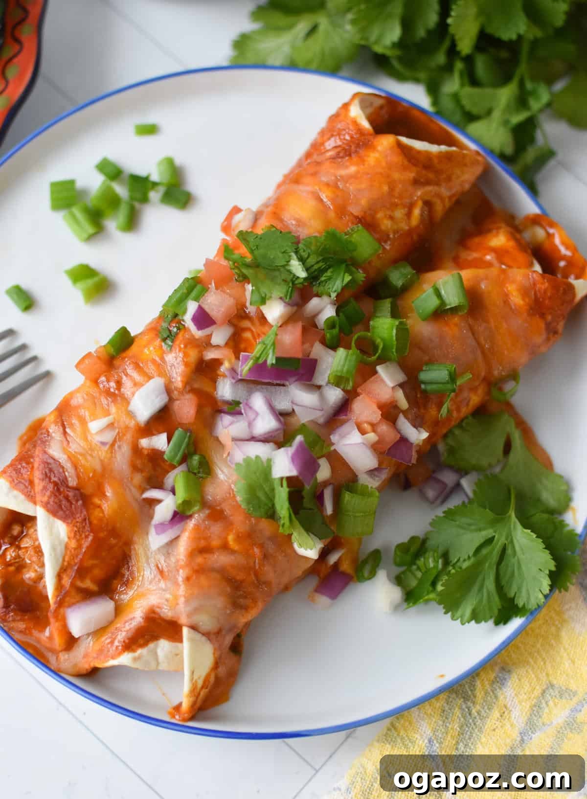Weeknight Pork Enchilada Bliss 2 Two cheesy pork enchiladas topped with fresh cilantro and red onion, ready to be served