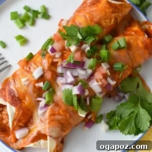 Pork Enchilada Recipe 1200 x 1200