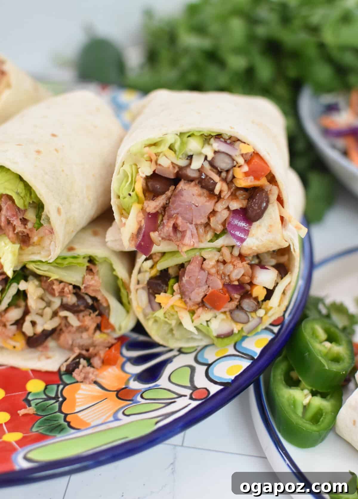 Ultimate Pulled Pork Wraps 9 Pulled Pork Burritos on a blue plate