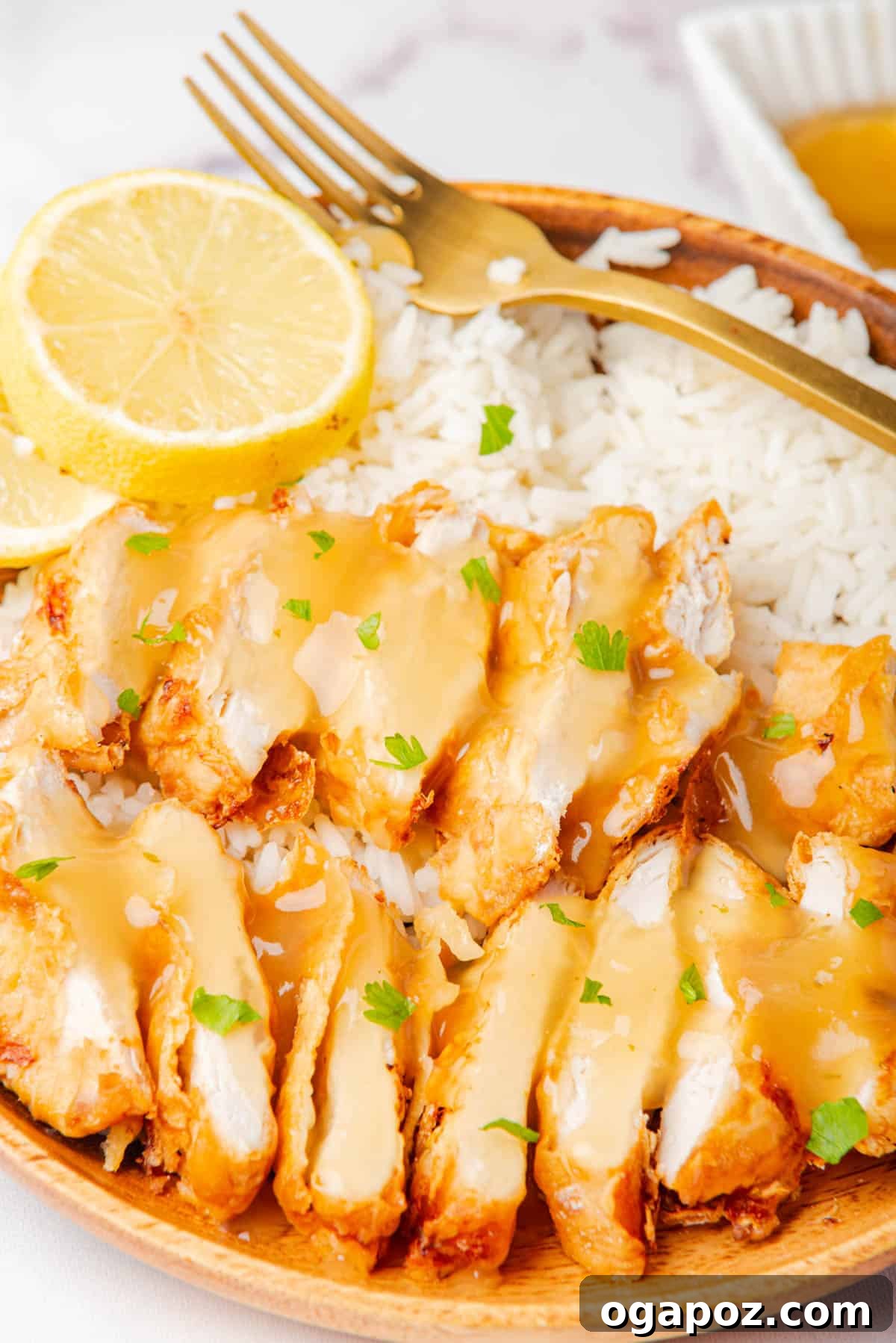 Ultimate Air Fryer Chicken Breast 3 Air Fryer Chicken Breast served over white rice with a fork