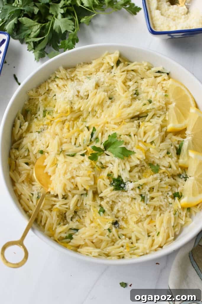 Bright Lemon Orzo Pasta 2 Lemon Orzo Recipe with spoon, showcasing its zesty appeal.