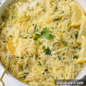 Bright Lemon Orzo Pasta 8 Lemon Orzo Recipe in a white bowl with a gold spoon, ready to be served.