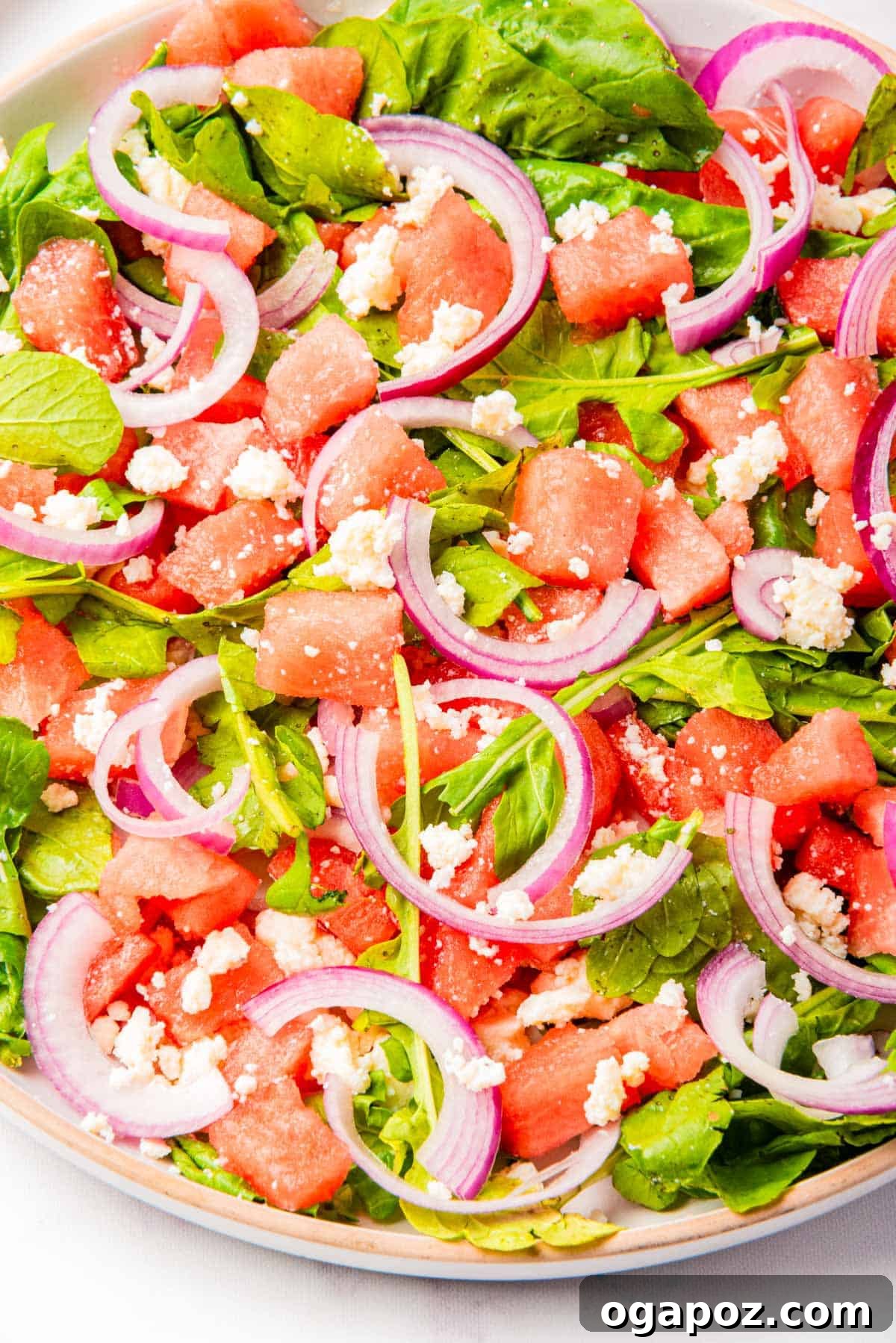 Watermelon Arugula Zing 5 Watermelon Arugula Salad being assembled in a large bowl