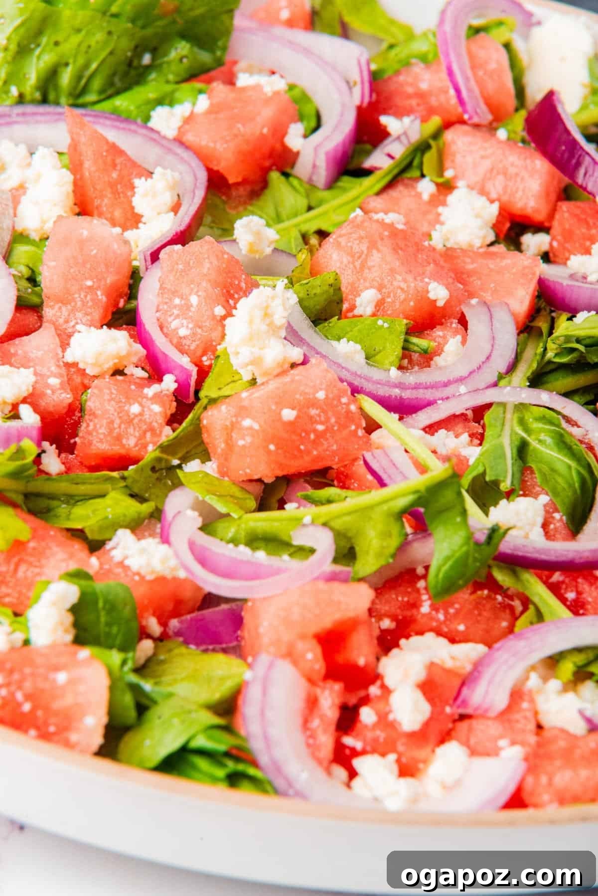 Watermelon Arugula Zing 8 Plated Watermelon Arugula Salad, ready to be eaten