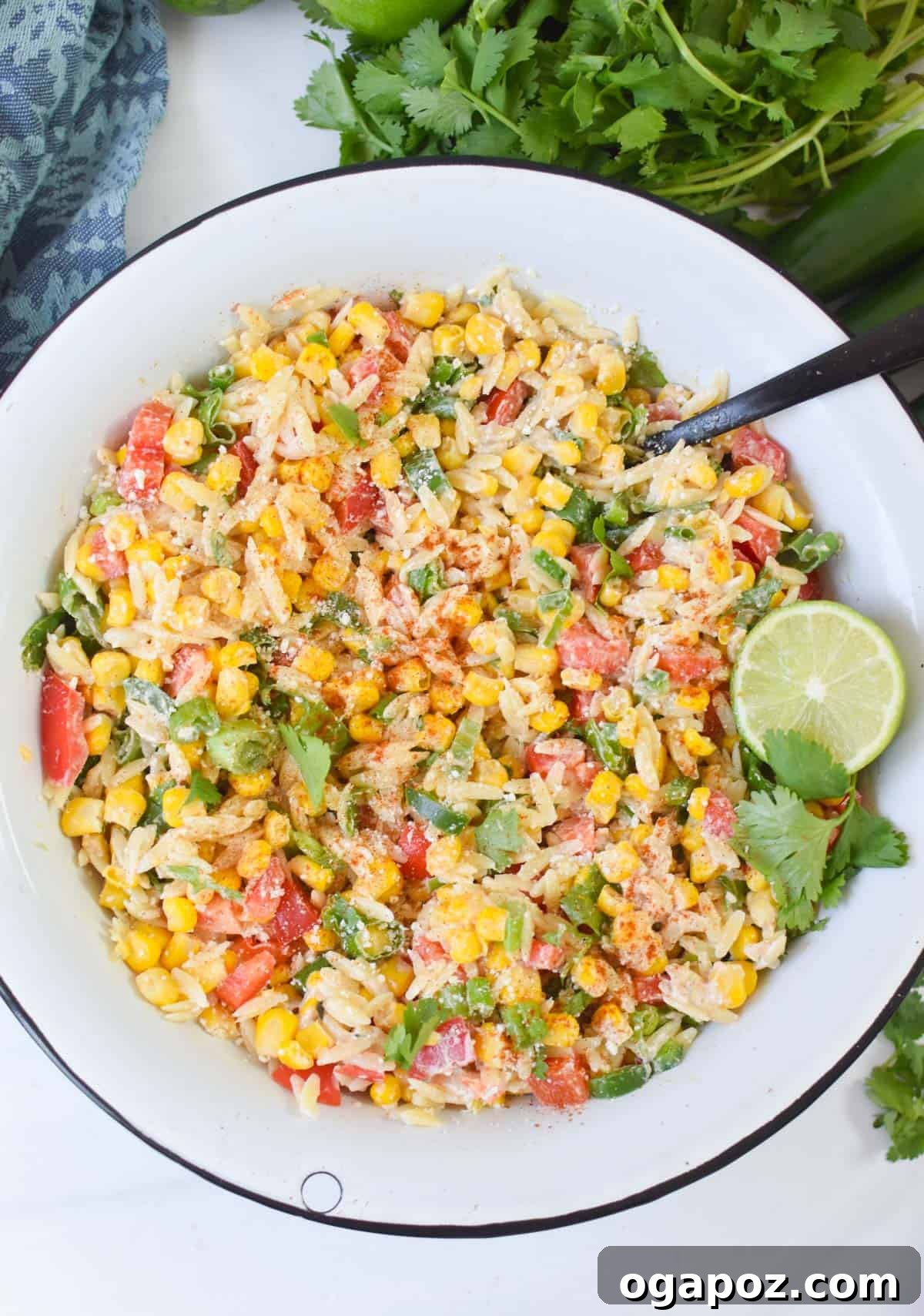 Fiesta Mexican Street Corn Orzo Salad 2 Mexican Street Corn Orzo Pasta Salad with crumbled cotija cheese and fresh cilantro garnish