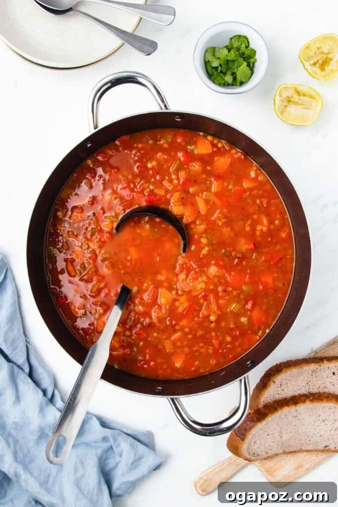 Flavorful Mexican Lentil Stew 11 Mexican Lentil Soup in a large bowl with a ladle, garnished with fresh cilantro.