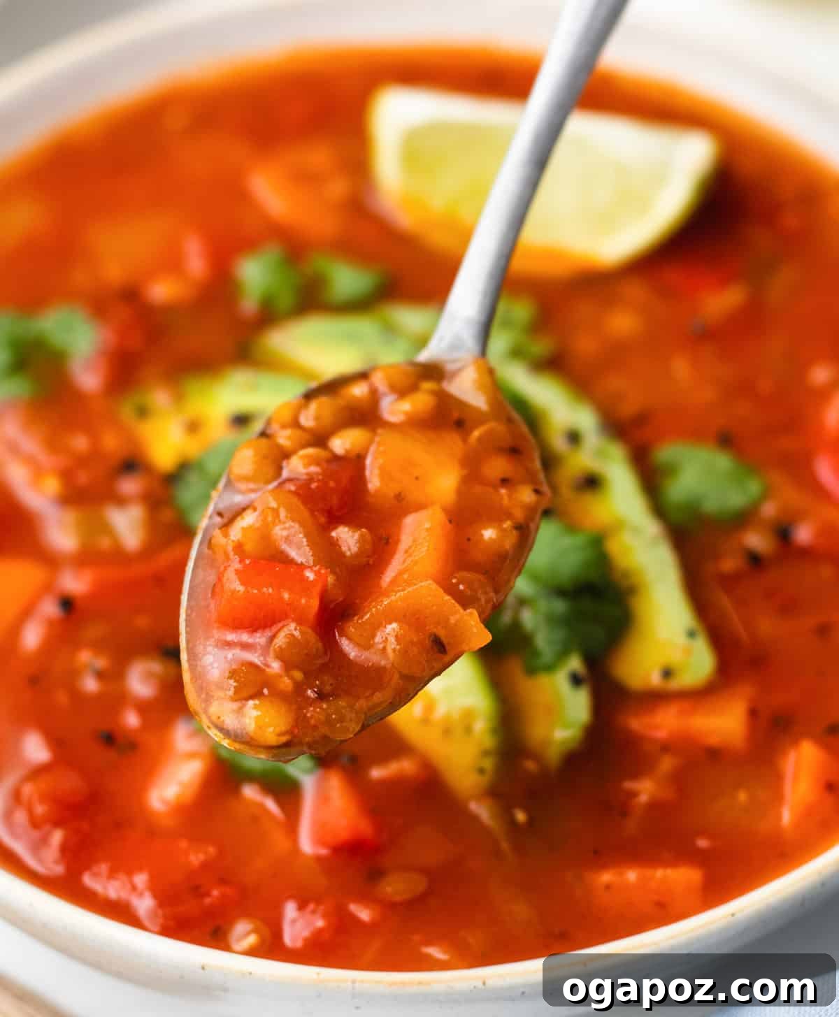 Flavorful Mexican Lentil Stew 3 Mexican Lentil Soup with a spoon in a white bowl, garnished with avocado and cilantro.