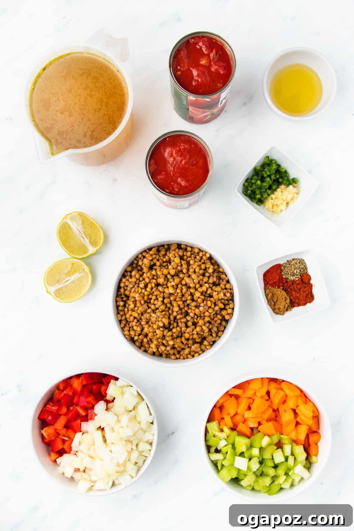 Flavorful Mexican Lentil Stew 6 Mexican Lentil Soup ingredients laid out on a table: lentils, vegetables, spices, tomatoes.