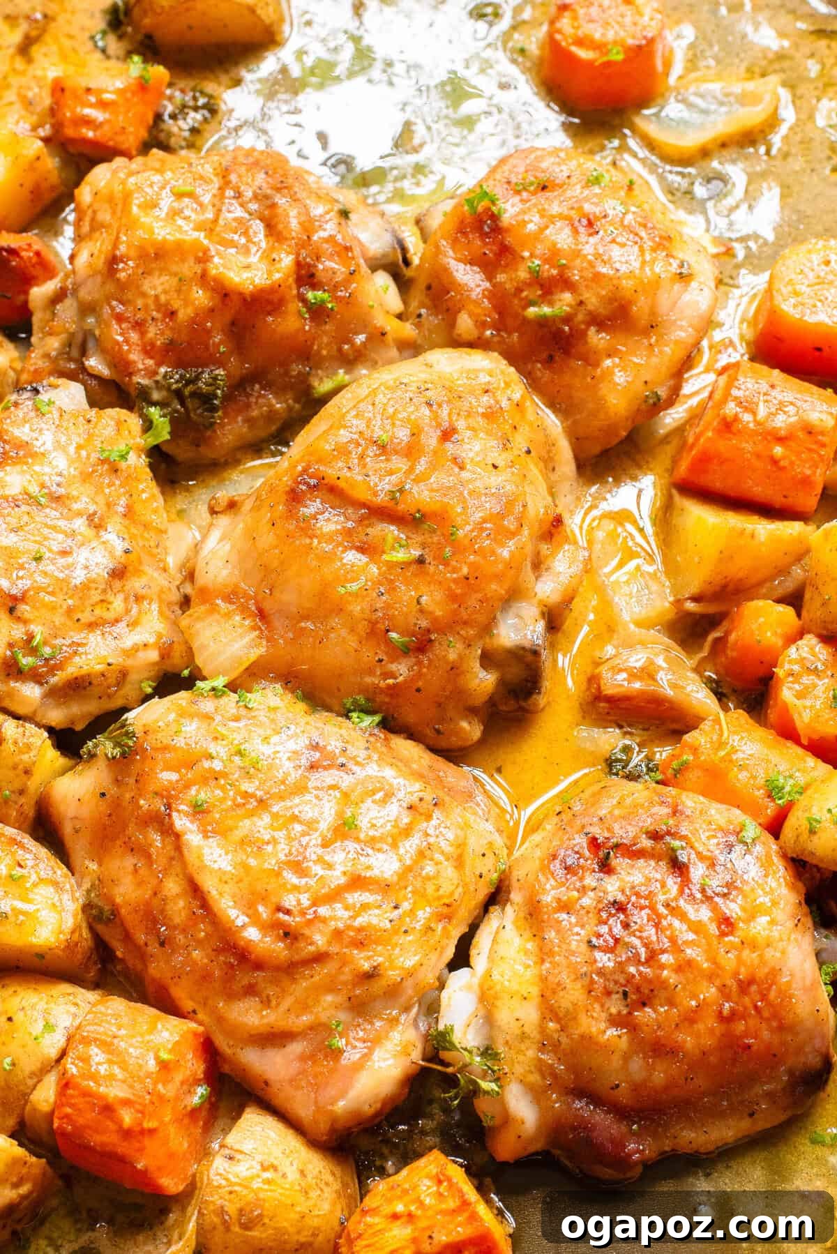 Golden Honey Mustard Sheet Pan Chicken Thighs 8 Sheet Pan Honey Mustard Chicken Thighs baked and ready to serve