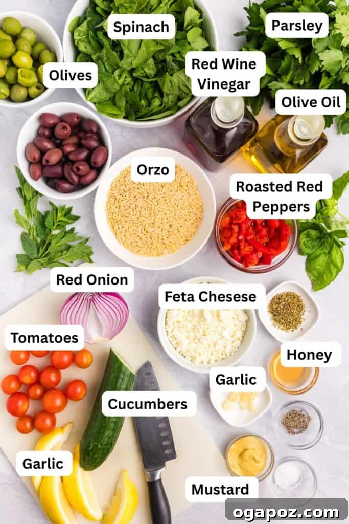 Mediterranean Garden Pasta 5 A vibrant selection of fresh ingredients laid out, including orzo, a variety of colorful vegetables, olives, and a block of feta cheese, ready for Mediterranean Pasta Salad preparation.