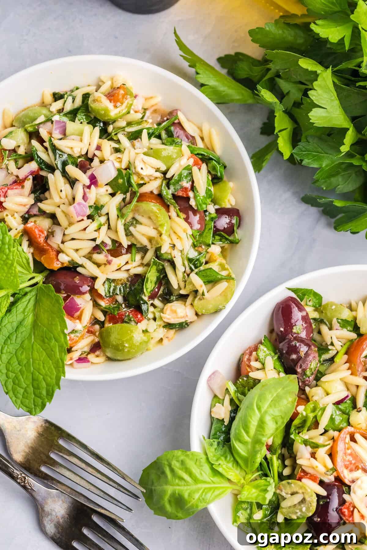Mediterranean Garden Pasta 6 Two pristine white bowls filled with the colorful Mediterranean Pasta Salad, perfectly portioned and ready to be enjoyed as a refreshing lunch or side dish.
