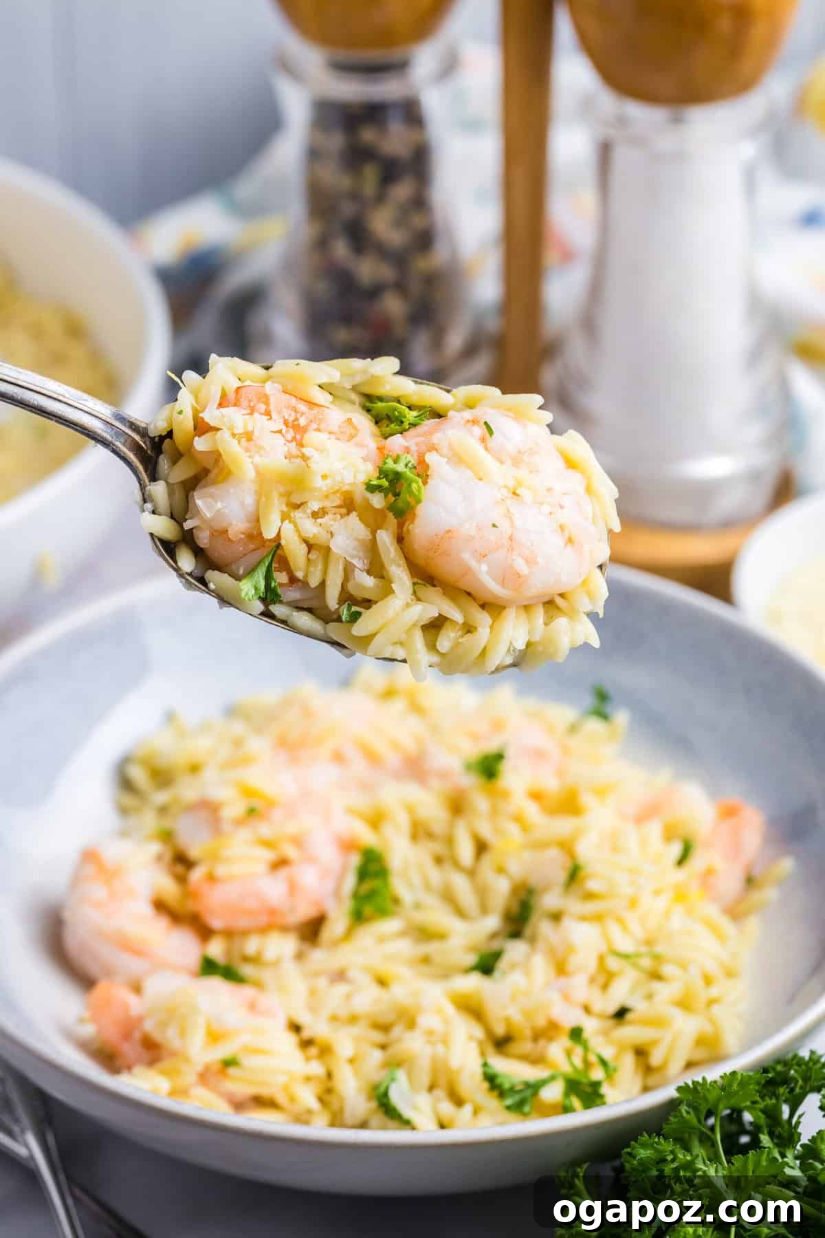 Zesty Lemon Shrimp Orzo 11 Lemon Shrimp and Orzo with shrimp on a spoon