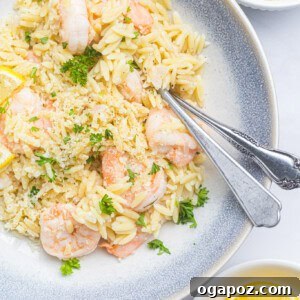 Lemon Shrimp and Orzo with forks