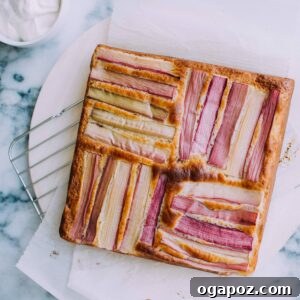 Close-up of a beautifully baked Ginger Rhubarb Cake, showcasing its golden crust and delightful topping.