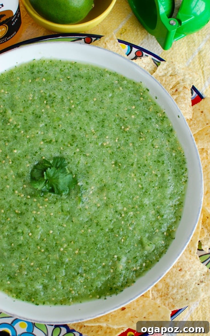 Zesty Tomatillo Salsa 2 Tomatillo Salsa Verde with tortilla chips ready for dipping