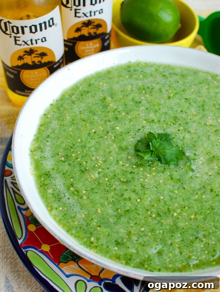 Zesty Tomatillo Salsa 4 Tomatillo Salsa Verde drizzled over beef, with fresh ingredients in the background