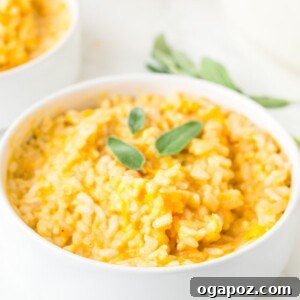 Golden Butternut Sage Risotto 4 Butternut Squash Sage Risotto, garnished with fresh sage leaves.