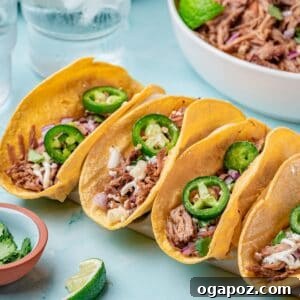 Delicious Slow Cooker Pulled Pork Tacos in taco holders on a blue background