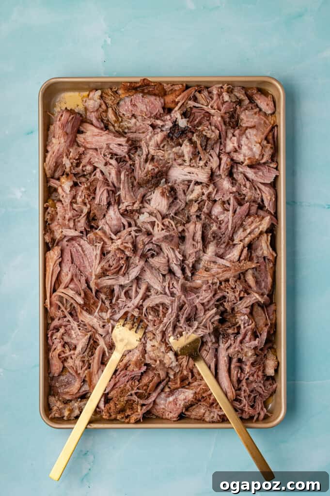 Tender Slow Cooker Pulled Pork Tacos 9 Shredded Slow Cooker Pulled Pork on a baking sheet, ready for serving