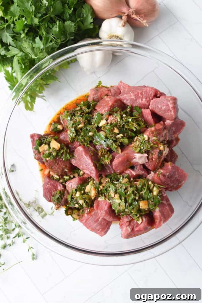 Sun-Drenched Steak Morsels 5 Mediterranean Steak Bites with marinade in bowl