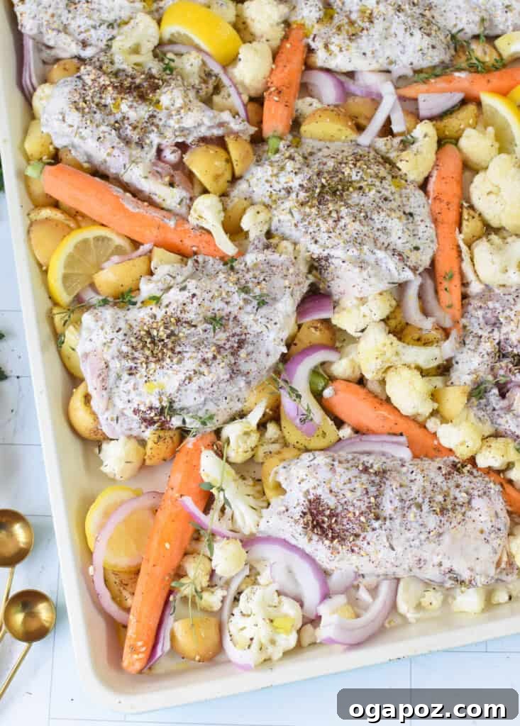 One Pan Roasted Zaatar Chicken 14 The sheet pan with marinated chicken nestled among seasoned vegetables and potatoes, ready to be roasted.