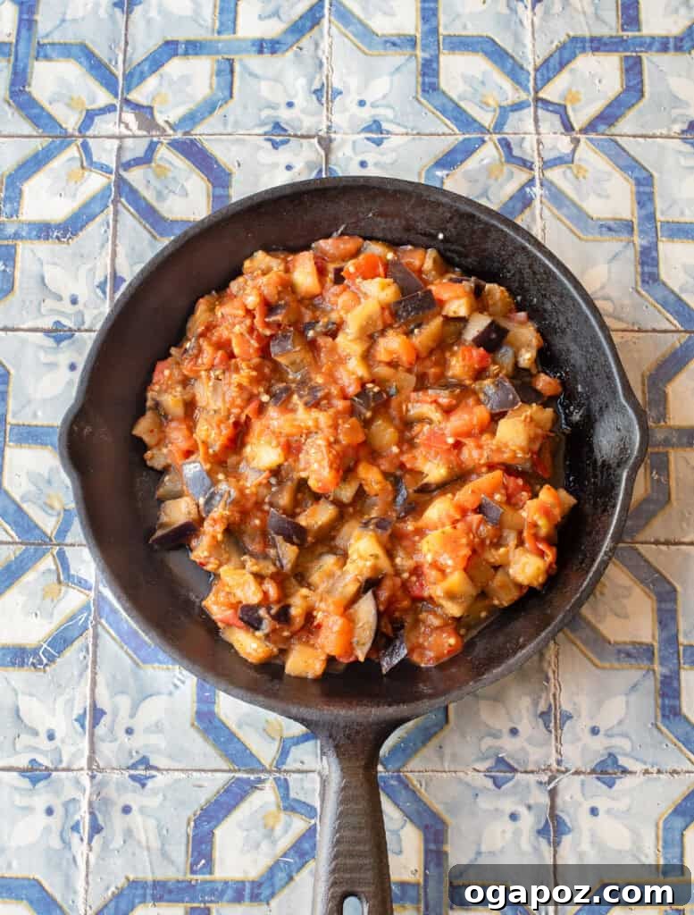 Rustic Skillet Tomato and Eggplant 6 Close-up of Skillet Tomato and Eggplant in a pan