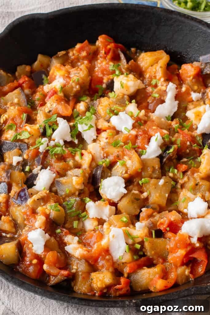 Rustic Skillet Tomato and Eggplant 7 Skillet Tomato and Eggplant served directly in the pan