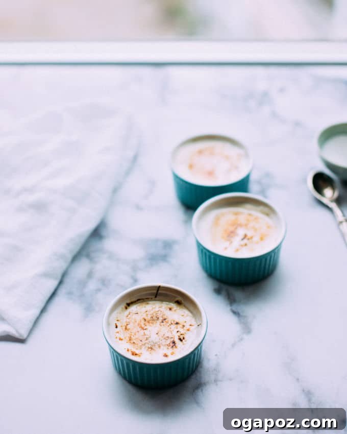 A minimalist arrangement of fresh ingredients, including yogurt and sugar, artfully prepared for a Yogurt Brulee recipe.