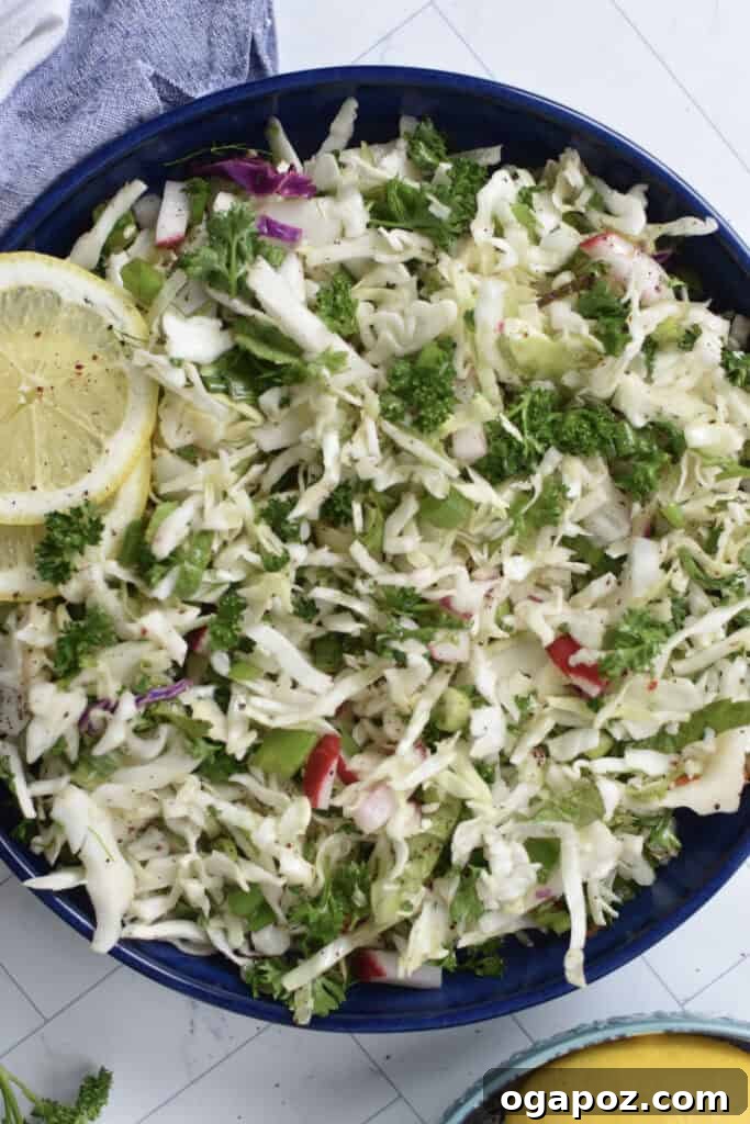 Zesty Malfouf Lebanese Salad 2 Malfouf Salad in a blue bowl with a lemon slice