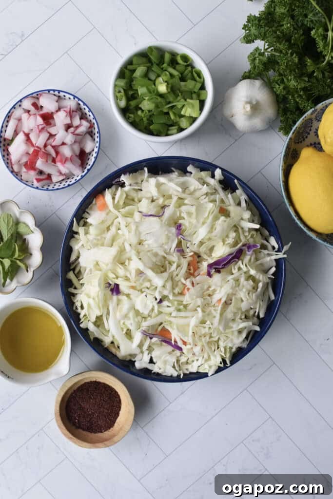 Zesty Malfouf Lebanese Salad 5 Malfouf Salad recipe ingredients