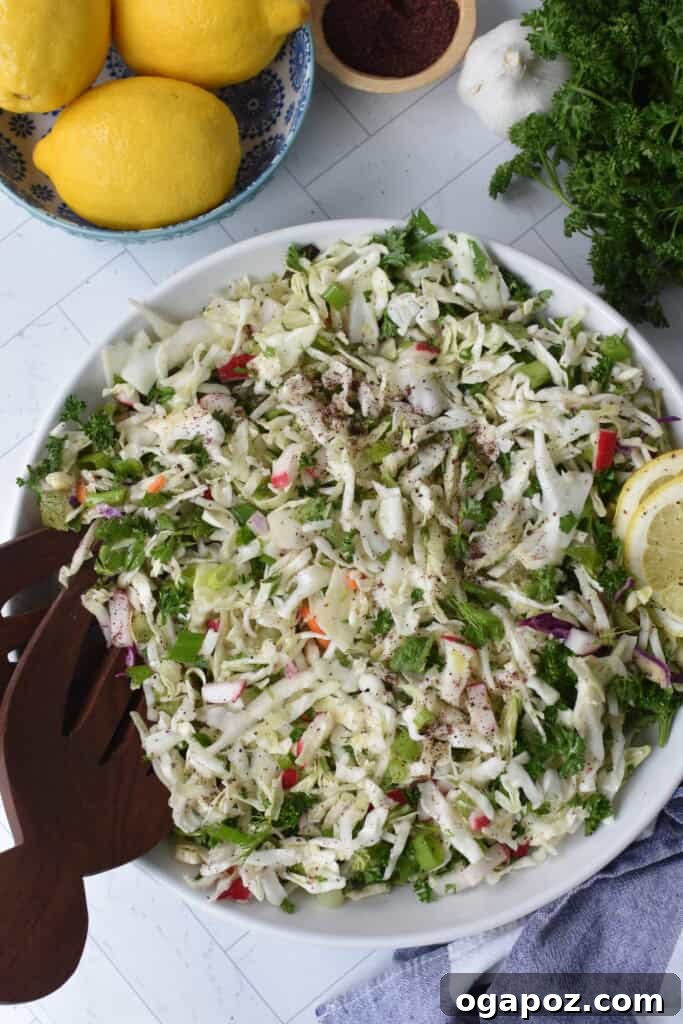 Zesty Malfouf Lebanese Salad 6 Malfouf Salad in a white bowl with fork