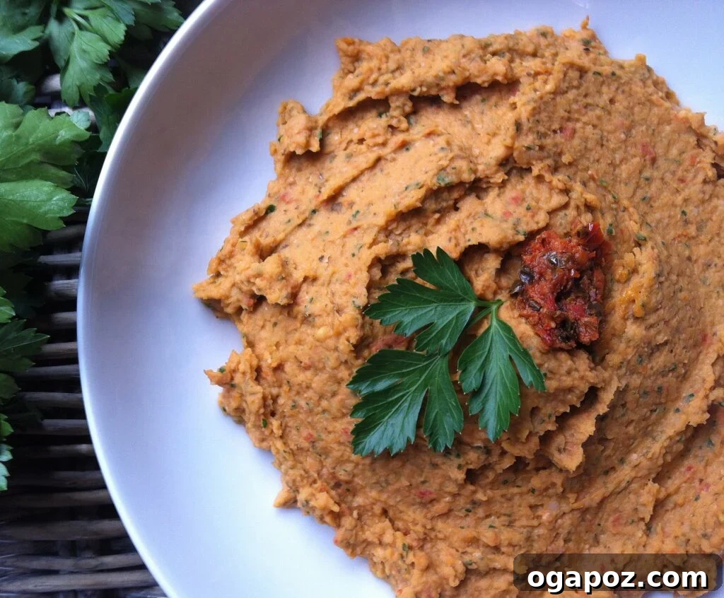 White Bean and Sun-Dried Tomato Dip Recipe Idea Creamy White Bean and Sun-Dried Tomato Dip served elegantly with crispy crackers