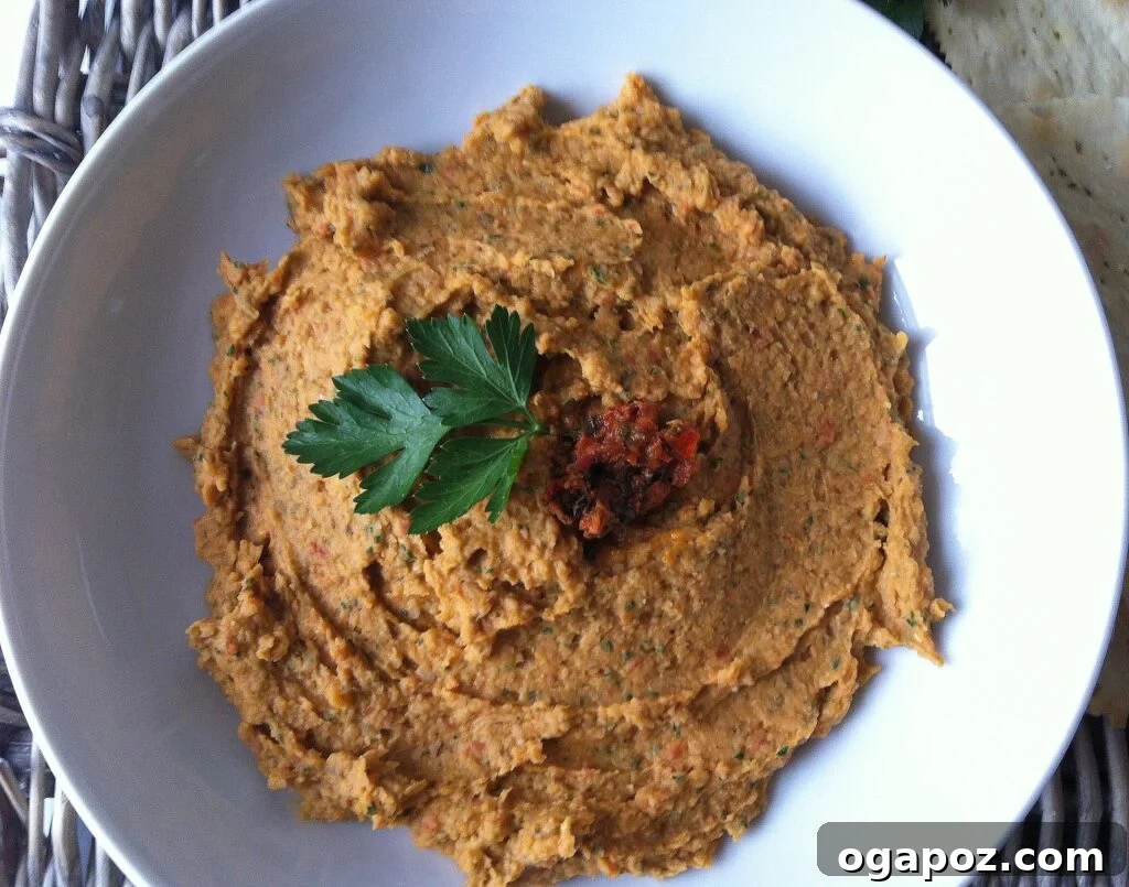 Appetizer with Mediterranean Flavors White Bean and Sun Dried Tomato Dip presented as a sophisticated appetizer