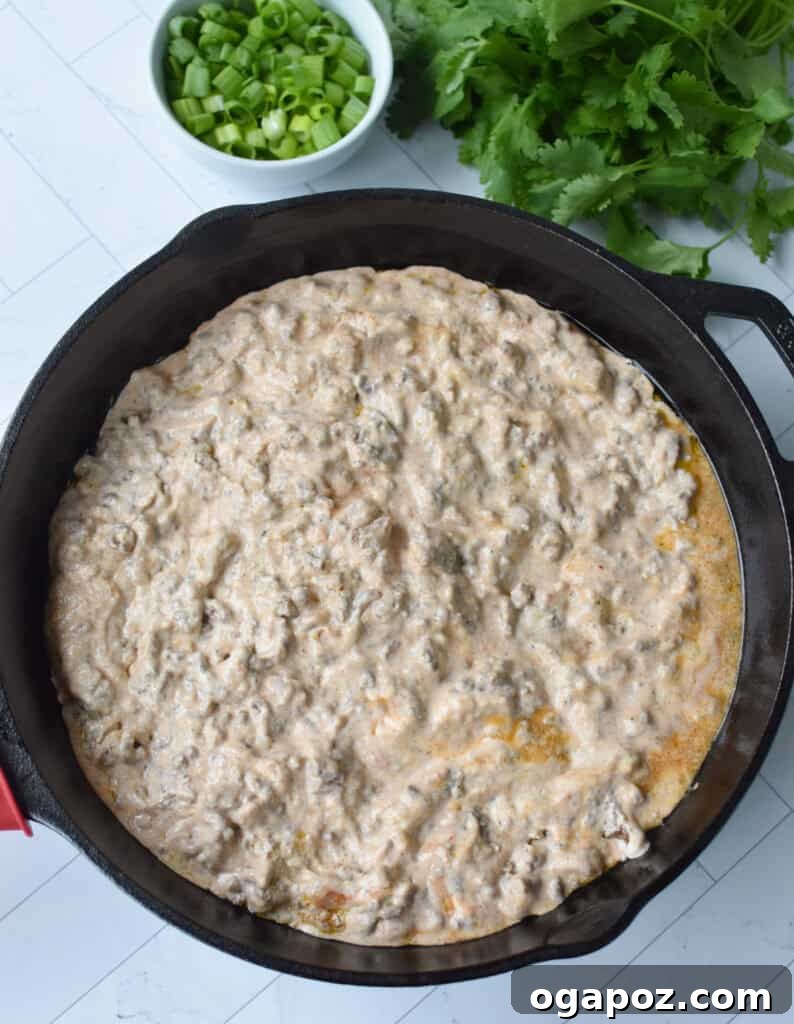 Creamy Beef & Cottage Cheese Queso 7 Ground beef and cheese queso in a cast iron skillet.