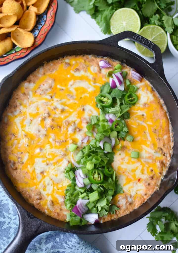 Creamy Beef & Cottage Cheese Queso 9 Ground beef and cheese melted in a cast iron skillet with fresh cilantro, green onion and red onion.