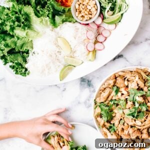 Zesty Asian Chicken Lettuce Cups 3 Chicken Lettuce Wraps | Foodess Recipes