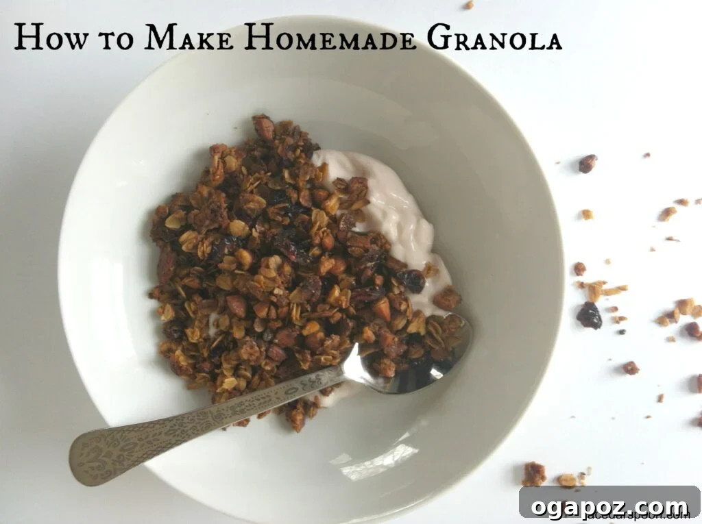 Craft Your Own Wholesome Granola 2 Delicious Homemade Granola served in a bowl with fresh berries