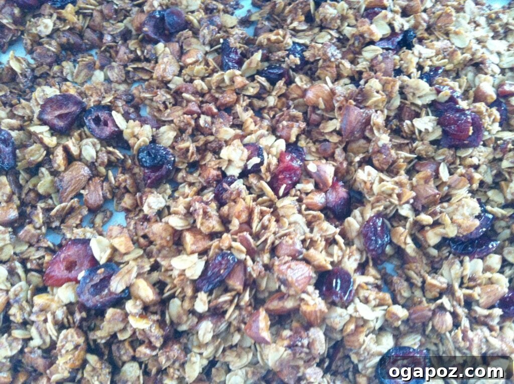 Craft Your Own Wholesome Granola 7 Homemade Granola served beautifully with fresh mixed berries