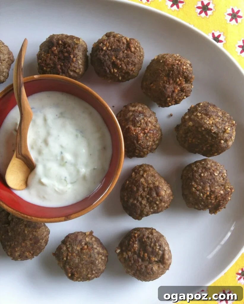 Savory Kibbeh with Tangy Spiced Yogurt 2 Crispy Kibbeh Meatballs with Creamy Spiced Yogurt Sauce