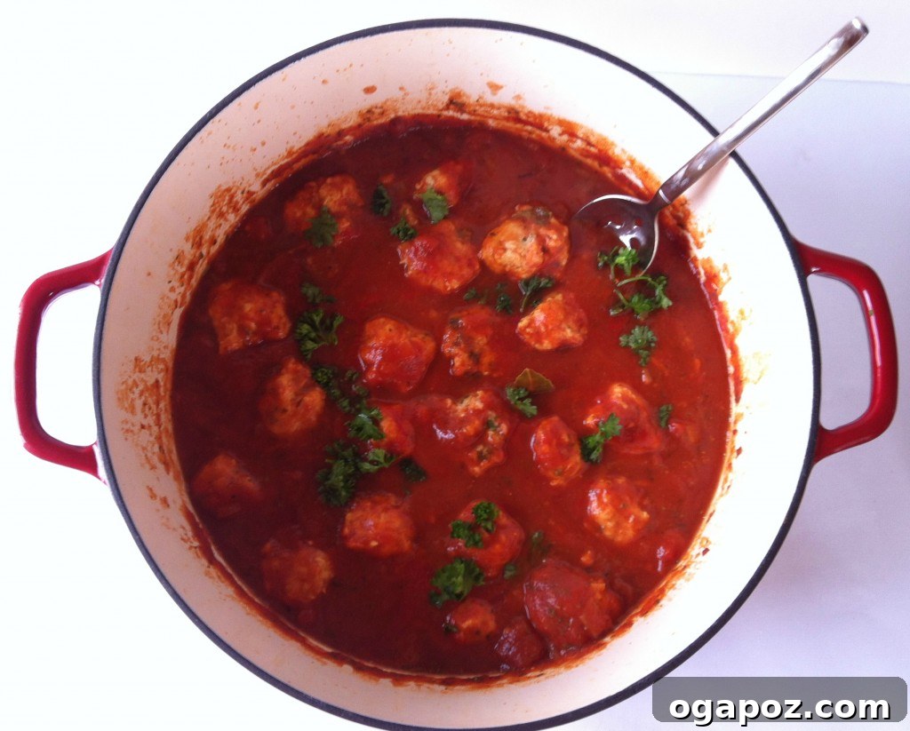 Kid-Approved Turkey Zucchini Carrot Meatballs 2 Delicious Turkey and Carrot Meatballs served with sauce