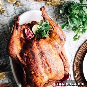 Beautifully roasted Tandoori Turkey with vibrant spices and a rich gravy