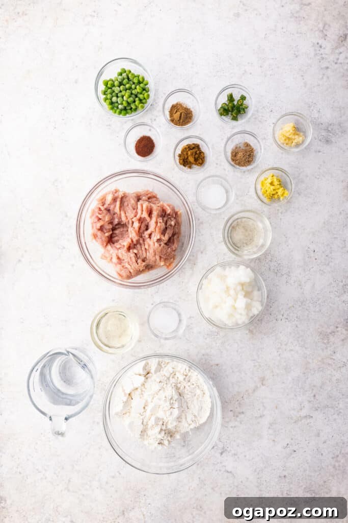 A flat lay of all the fresh and dry ingredients required to make Chicken Samosas.