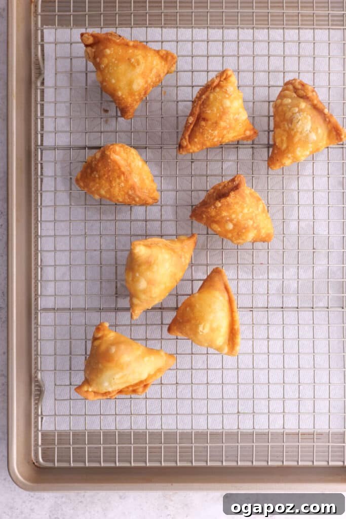 Freshly fried Chicken Samosas resting on paper towels to drain excess oil, ready to be served.