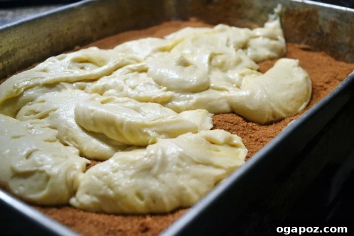 Cinnamon Swirl Coffee Cake batter layered in the baking pan with cinnamon sugar sprinkled on top