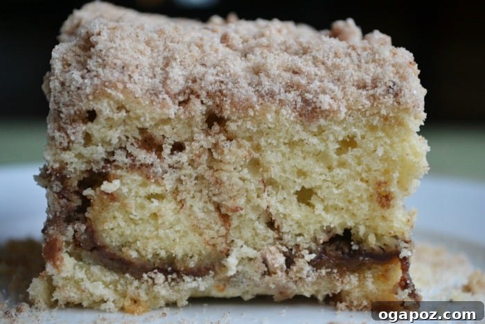 Close-up of a slice of Cinnamon Swirl Coffee Cake showing the distinct cinnamon layers and moist crumb