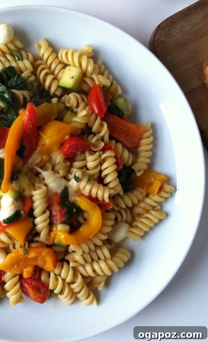 Velvety Roasted Red Pepper Pasta 4 Gourmet Roasted Red Pepper Pasta with Buffalo Mozzarella