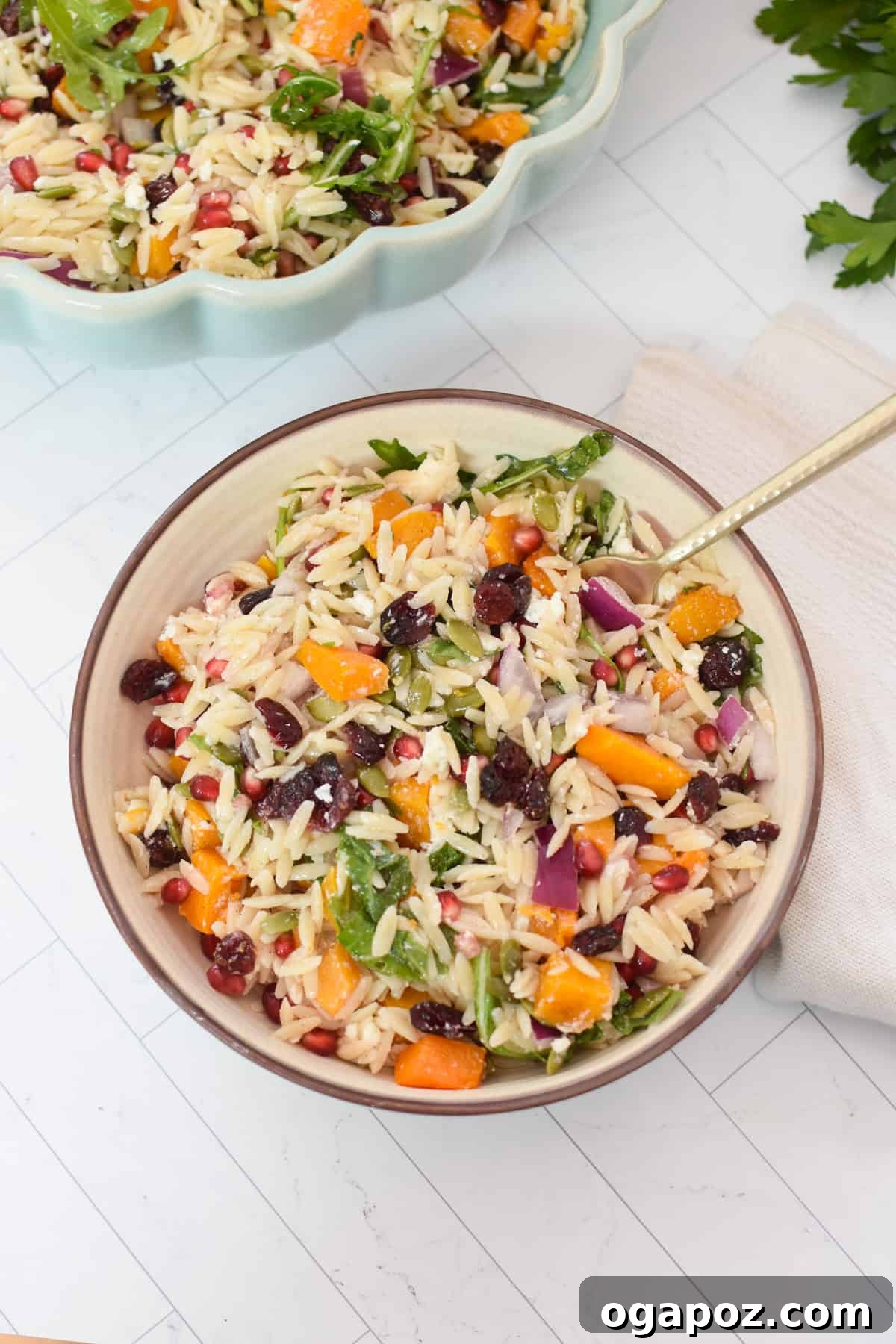 Autumn Harvest Orzo Pasta Salad 13 A small portion of Fall Orzo Pasta Salad served in an individual bowl, beautifully dressed and ready to eat.