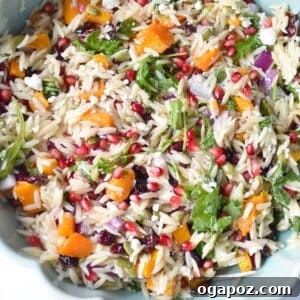 Fall Orzo Pasta Salad, a delicious and colorful autumn dish.