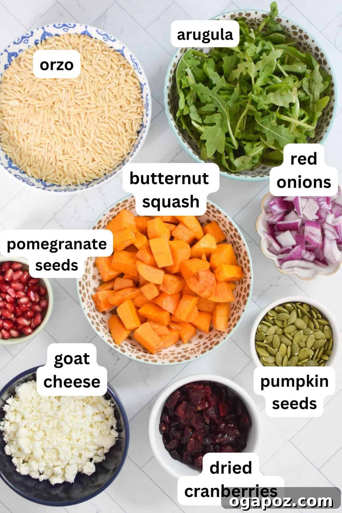 Autumn Harvest Orzo Pasta Salad 5 A selection of fresh and vibrant ingredients laid out for Fall Orzo Pasta Salad, including butternut squash, orzo, goat cheese, cranberries, and pomegranate.